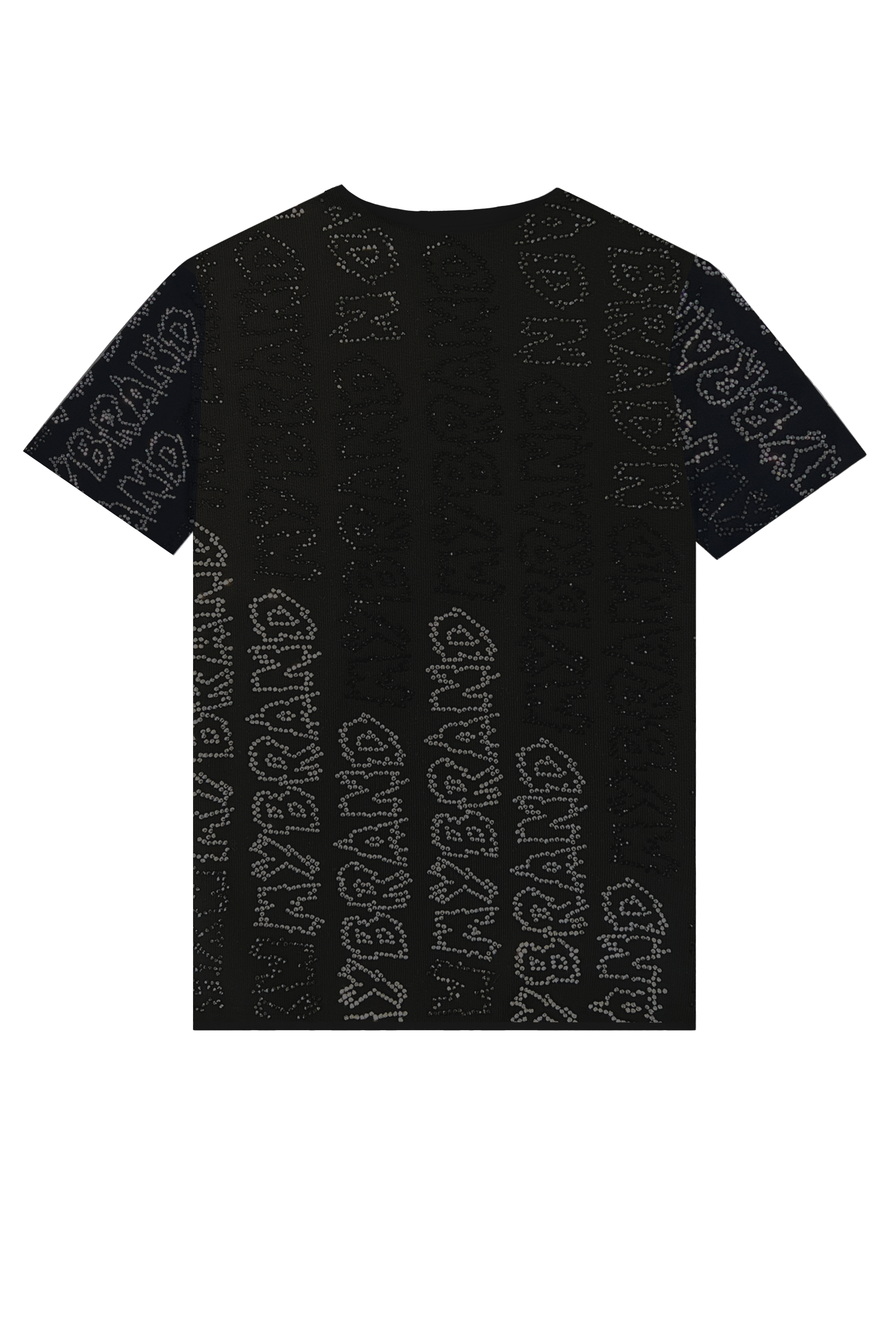 Graphite Capsule T-Shirt